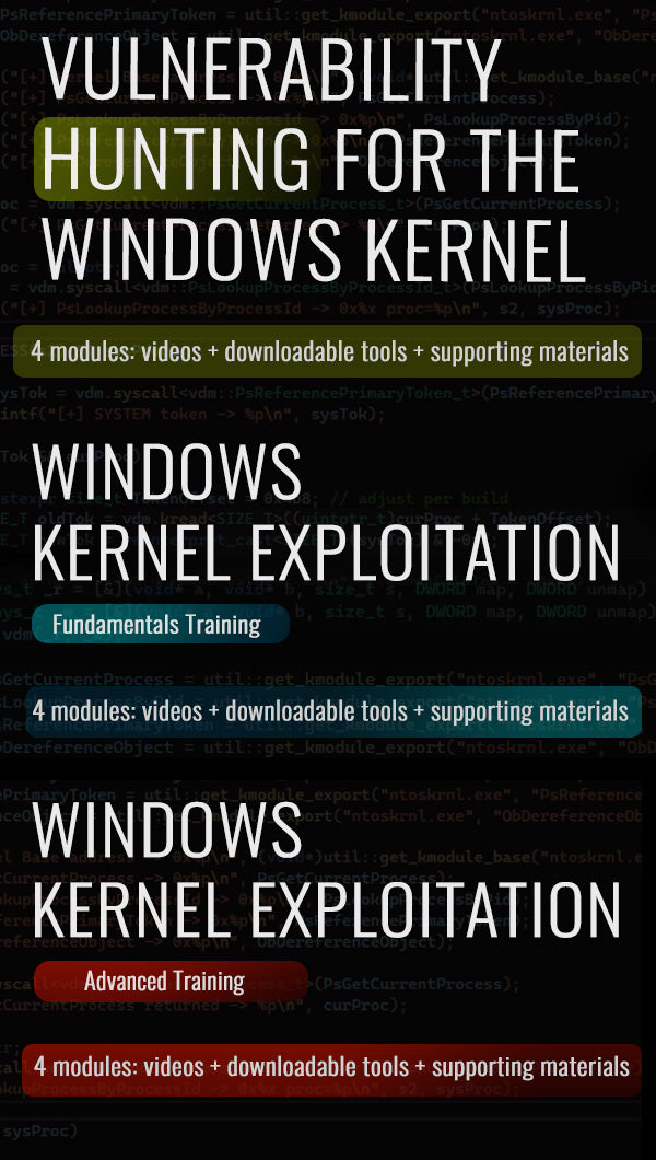 Windows Kernel Exploitation [Fundamentals]